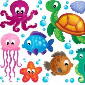 Animales marinos
