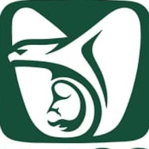 El IMSS