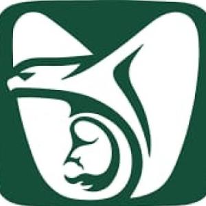 El IMSS