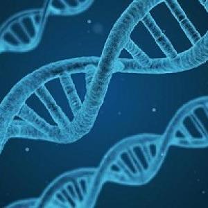 conoce un poco mas de la genetica