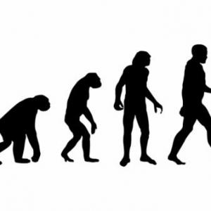 la evolución