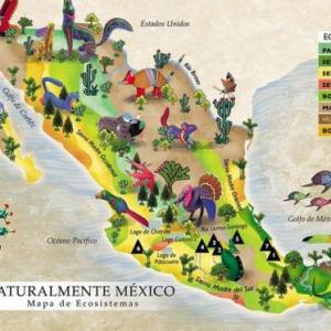 Oca de ciencias naturales parte 1