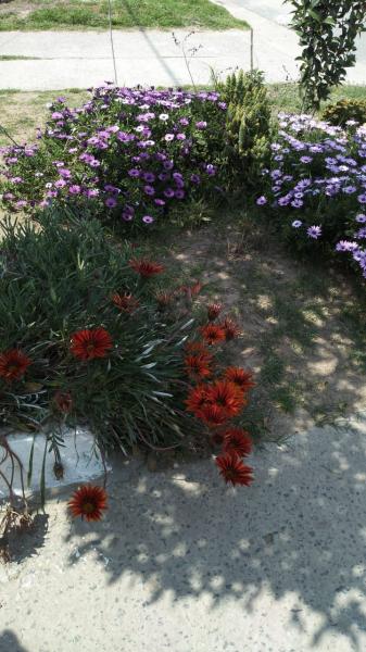 La primavera de mis amigos