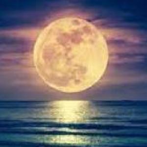 La luna y sus fases