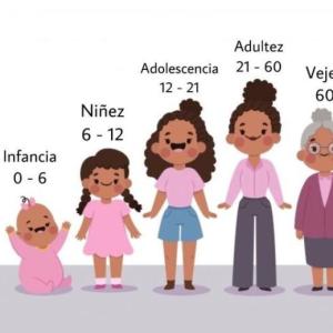 ETAPAS DE LA VIDA