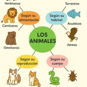 Organización de los animales