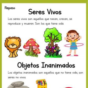 Los Seres Vivos