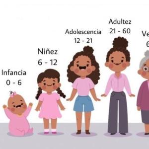 ETAPAS DE LA VIDA