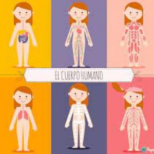 Cual es cual?