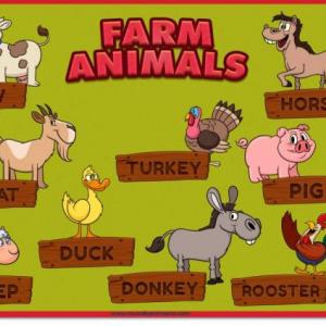 animales de la granja