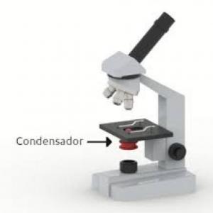Imagen de portada del videojuego educativo: PARTES DEL MICROSCOPIO, de la temática Biología
