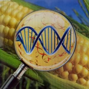 Genética molecular, biotecnología y reproducción celular