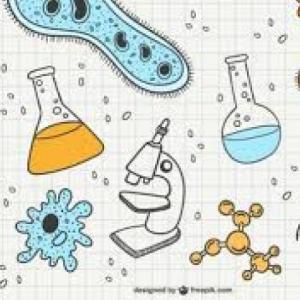 Imagen de portada del videojuego educativo: Biología Celular, de la temática Biología