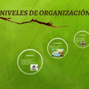 Imagen de portada del videojuego educativo: Niveles de organización de la materia, de la temática Medio ambiente