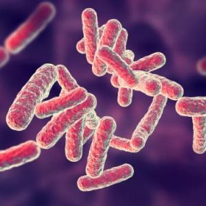 Imagen de portada del videojuego educativo: Diversidad bacteriana, de la temática Biología