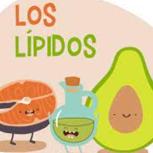 LIPIDOS