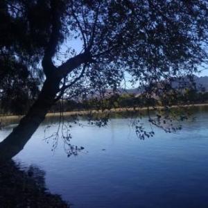 Laguna Axotlan 