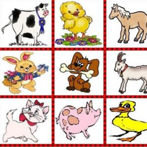 Animales domésticos 