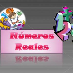La familia de los números reales