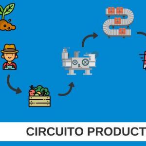 Circuito productivo
