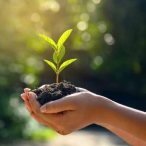 Cuidado del Medio Ambiente
