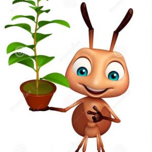 LAS PLANTAS Y LA FOTOSÍNTESIS