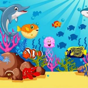 Sea animals