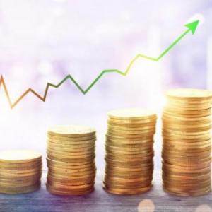 Pensemos en economía