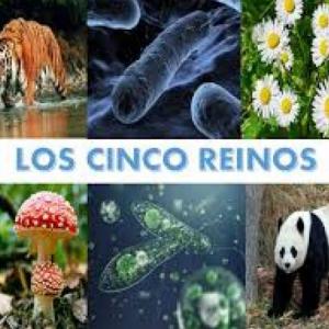 LOS REINOS DE LA NATURALEZA 