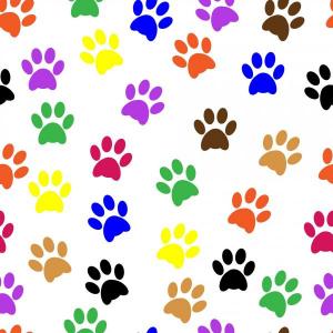 ¿Qué tanto sabes de los animales?