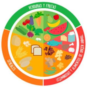 Dieta correcta y plato del bien comer