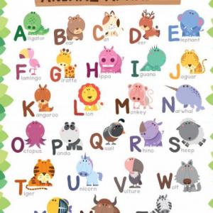 Animals