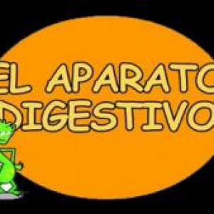 sistema digestivo