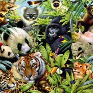 Animales 