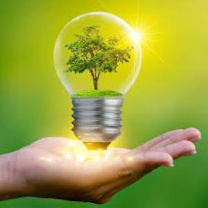 Cuidado Del Medio Ambiente