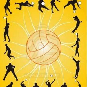 Imagen de portada del videojuego educativo:  Voleibol memorioso, de la temática Deportes