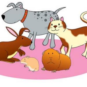 Portada del juego MEMORY GAME: PETS – Idiomas