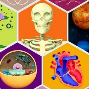 Las ciencias naturales como parte de una formación integral