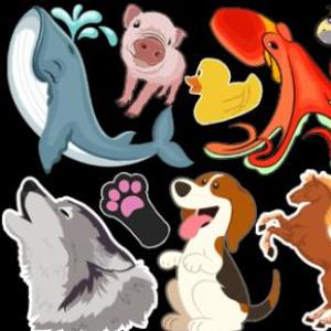 Animals