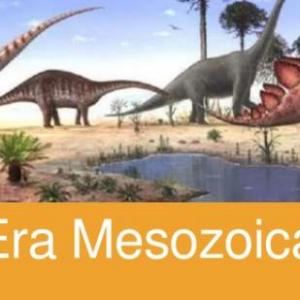 Imagen de portada del videojuego educativo: le memoria de la era mesozoica, de la temática Biología