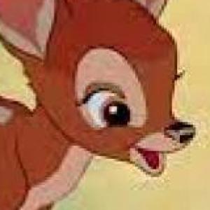 de que color son los animales?