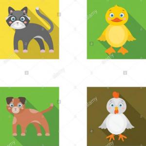 ANIMALES DOMESTICOS