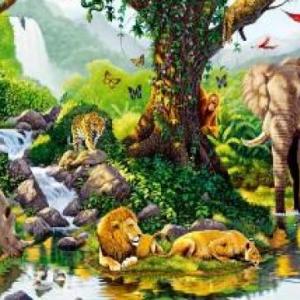 La Naturaleza esencial 