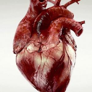 Fisio siempre en mi corazón
