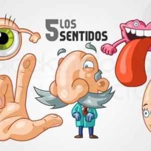 Los 5 sentidos 