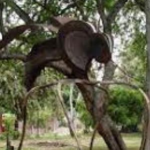 parque la cucaracha