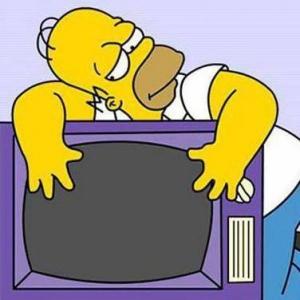 la television o el bienestar de la incultura