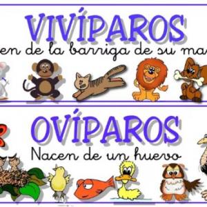 como se reproducen los animales