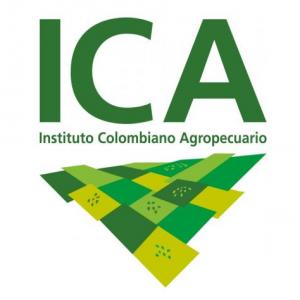 RESOLUCIONES 