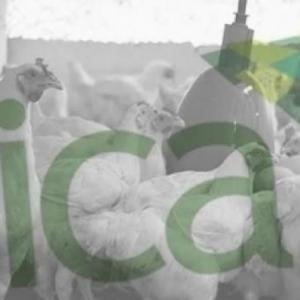 Resoluciones Newcastle-Influenza